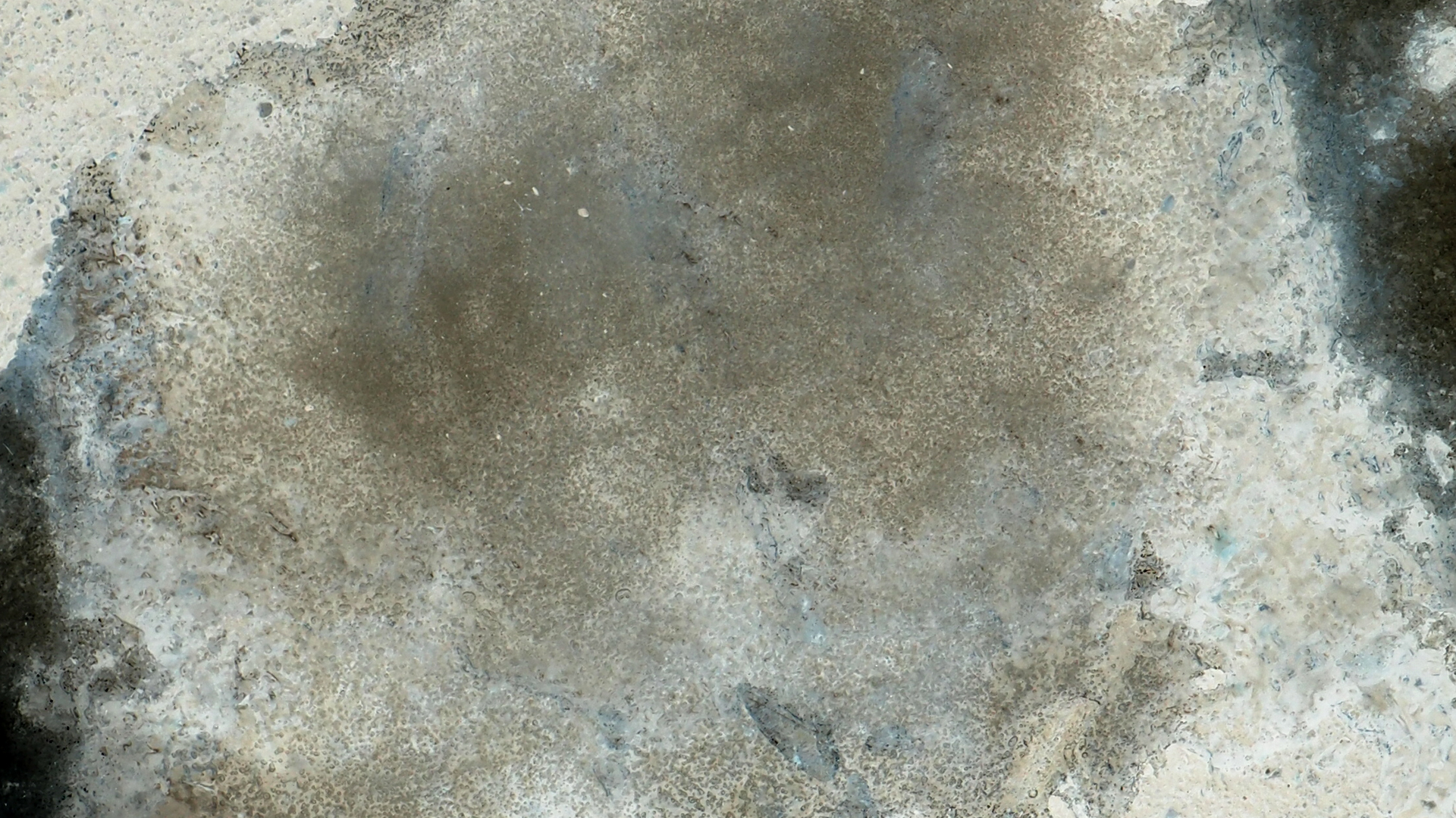2021-01-30 Wasser in der Sple II, On-Off (Remix John Cage 'Sonatas & Interludes') (Komposition, Remix, Recording, Foto)